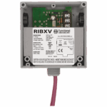 RIBXV